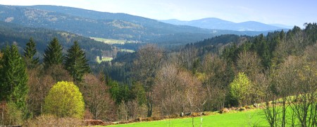 Urlaub im Bayrischen Wald